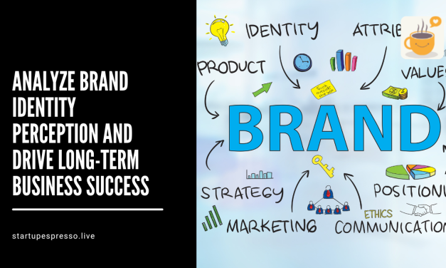 Analyze Brand Identity Perception and Drive Long-Term Business Success